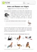 Arbeitsblatt: Arten und Rassen von Vögeln