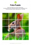 Fotopuzzle Hase