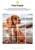 Arbeitsblatt: Fotopuzzle Hund (Welpe)