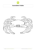 Ausmalbild Krabbe