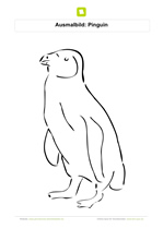 Ausmalbild Pinguin