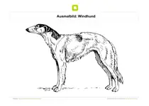 Ausmalbild Windhund