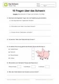 Arbeitsblatt: 10 Fragen über Schweine