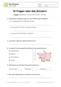 Schweine Kostenlose Arbeitsblatter