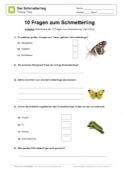 Arbeitsblatt: 10 Fragen zu Schmetterlingen