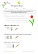 10 Fragen zu Tulpen