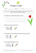 10 Fragen zu Tulpen 10 Fragen zu Tulpen