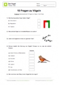 Arbeitsblatt: 10 Fragen zu Vögeln