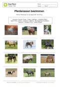 Arbeitsblatt: 12 Pferderassen bestimmen