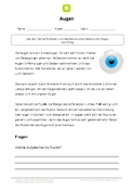 Arbeitsblatt Auge mit 3 Fragen