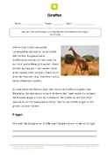 Arbeitsblatt: Arbeitsblatt Giraffe mit 3 Aufgaben