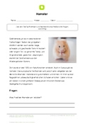 Arbeitsblatt Hamster mit 3 Aufgaben