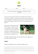 Arbeitsblatt: Arbeitsblatt Hund mit 3 Aufgaben