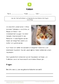 Arbeitsblatt: Arbeitsblatt Katze mit 3 Aufgaben