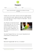 Arbeitsblatt: Arbeitsblatt Papageien mit 3 Aufgaben