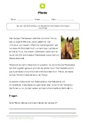 Arbeitsblatt: Arbeitsblatt Pferde mit 3 Aufgaben