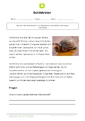 Arbeitsblatt: Arbeitsblatt Schildkröte