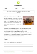 Arbeitsblatt Schildkröte