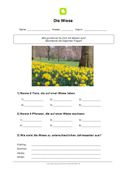 Arbeitsblatt Wiese Arbeitsblatt Wiese