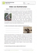 Arbeitsblatt: Arten und Gattungen von Eichhörnchen