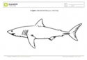 Arbeitsblatt: Ausmalbild Hai