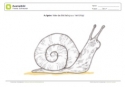 Arbeitsblatt: Ausmalbild Schnecke