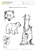 Arbeitsblatt: Bären-Bilder ausmalen