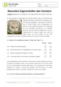 Arbeitsblatt: Besondere Eigenschaften des Hamsters