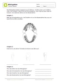 Arbeitsblatt: Das Milchgebiss