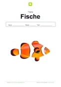 Deckblatt Fische