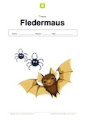 Deckblatt Fledermaus