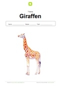 Deckblatt Giraffen