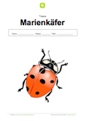 Deckblatt Marienkäfer