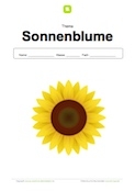 Deckblatt Sonnenblume