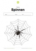 Arbeitsblatt: Deckblatt Spinnen