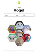 Arbeitsblatt: Deckblatt Vögel