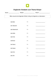 Arbeitsblatt: Englisch Vokabeln zum Thema Körper