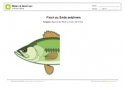 Arbeitsblatt: Fisch zu Ende zeichnen