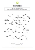 Arbeitsblatt: Fliegende Vögel zählen
