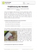 Arbeitsblatt: Fortpflanzung vom Hamster