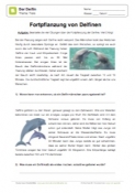 Arbeitsblatt: Fortpflanzung von Delfinen