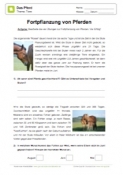 Arbeitsblatt: Fortpflanzung von Pferden