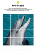 Arbeitsblatt: Fotopuzzle Delfin