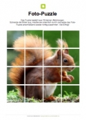 Arbeitsblatt: Fotopuzzle Eichhörnchen