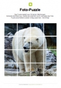 Arbeitsblatt: Fotopuzzle Eisbär