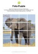 Arbeitsblatt: Fotopuzzle Elefant