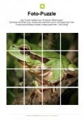 Arbeitsblatt: Fotopuzzle Frosch