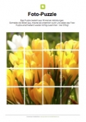 Arbeitsblatt: Fotopuzzle - Frühling