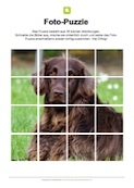 Arbeitsblatt: Fotopuzzle - Hund