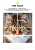 Arbeitsblatt: Fotopuzzle Katze